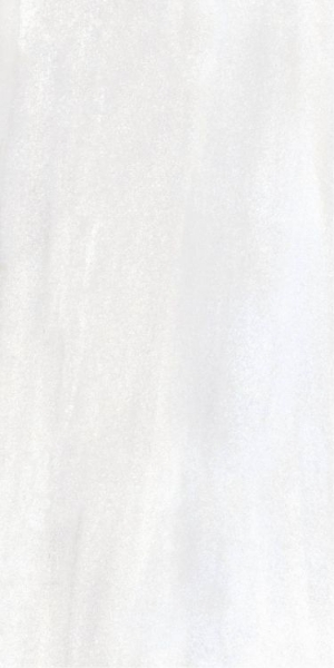 Picture of Elysium - Bruce 24 x 48 Bruce Matte