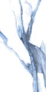 Picture of Elysium - Calacatta Blue 12 x 24 Blue Matte