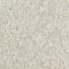 Picture of Armstrong - Standard Excelon Imperial Texture 1/8 Shelter White