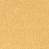 Picture of Armstrong - Standard Excelon Imperial Texture 1/8 Golden