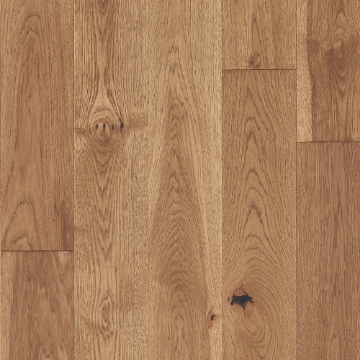 Picture of Mannington - Latitude Forest Park Sunbeam