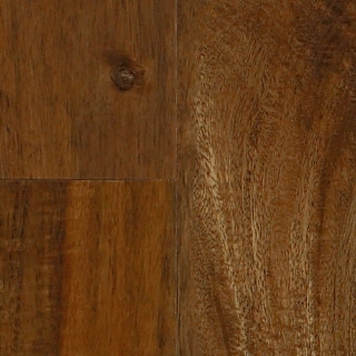 Picture of Mannington - Adura Max Plank Acacia Natural Plains