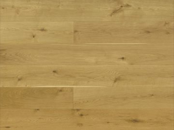 Picture of Monarch Plank - Hokkaido Nara Natural