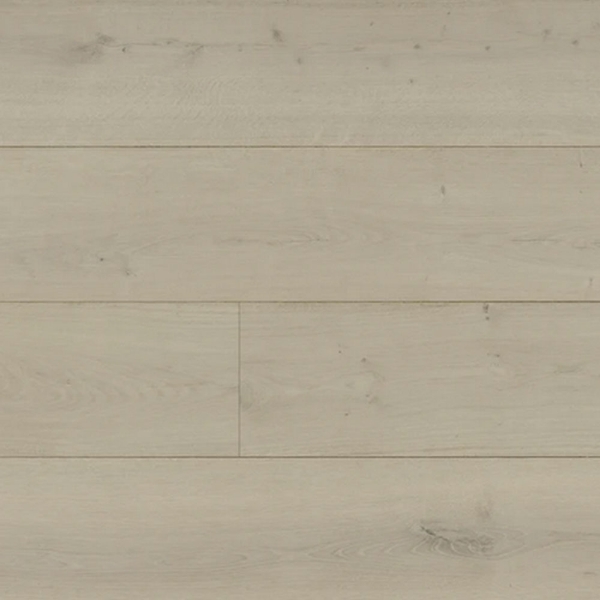 Picture of Monarch Plank - La Grande Parsenn