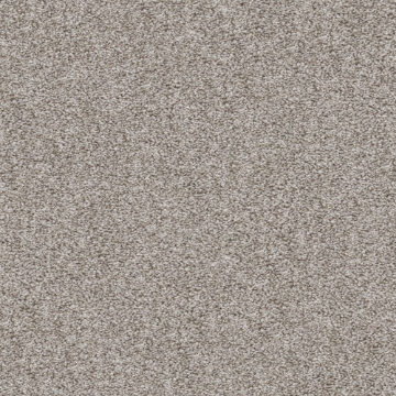 Picture of Shaw Contract - Prepare Versatile