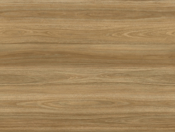 Picture of Six Degrees - Compass 6 x 48 5mm Wilmington