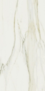 Picture of Elysium - Classici 24 x 48 Calacatta Gold Matte