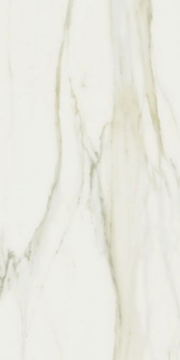 Picture of Elysium - Classici 24 x 48 Calacatta Gold Matte