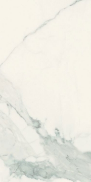 Picture of Elysium - Classici 24 x 48 Statuario