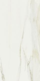 Picture of Elysium - Classici 24 x 48 Calacatta Gold