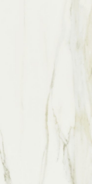 Picture of Elysium - Classici 24 x 48 Calacatta Gold