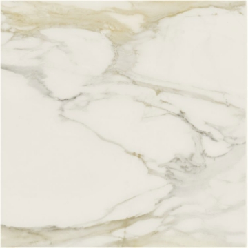 Picture of Elysium - Classici 48 x 48 Calacatta Gold