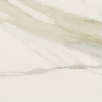 Picture of Elysium - Classici 48 x 48 Calacatta Gold Matte