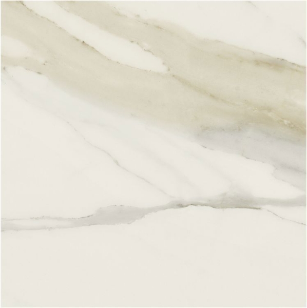 Picture of Elysium - Classici 48 x 48 Calacatta Gold Matte