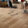 Picture of Shaw Builder - Piedmont Hickory Red Clay
