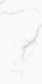 Picture of Tesoro - Cora 12 x 24 Carrara