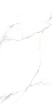 Picture of Tesoro - Cora 12 x 24 Calacatta