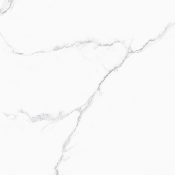 Picture of Tesoro - Cora 24 x 24 Carrara