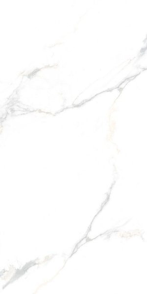 Picture of Tesoro - Cora 24 x 48 Calacatta