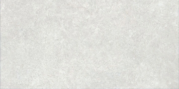 Picture of Tesoro - Kalkarea 24 x 48 Outdoor Pearl