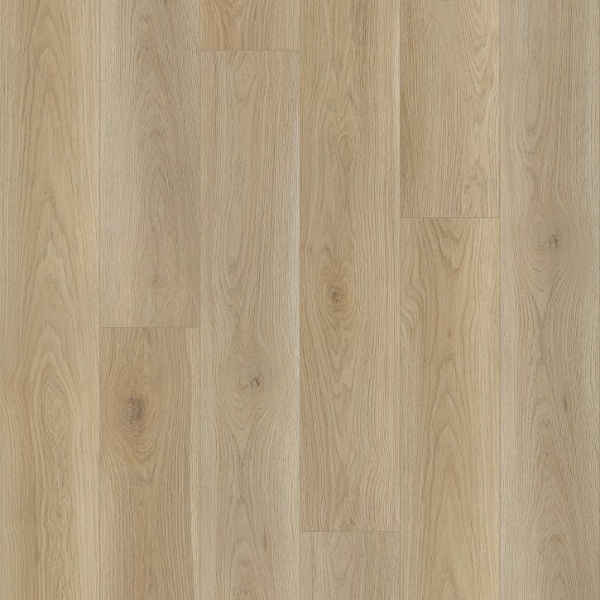 Picture of Shaw Builder - Anchor Point Vanilla Chai