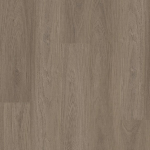 Picture of Shaw Builder - Anchor Point Woodland Mist