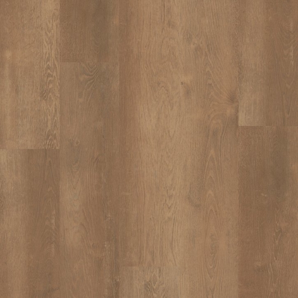 Picture of Shaw Builder - Conway Amber Oak