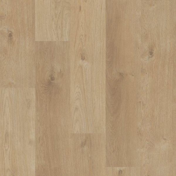 Picture of Shaw Builder - Conway Desert Sand