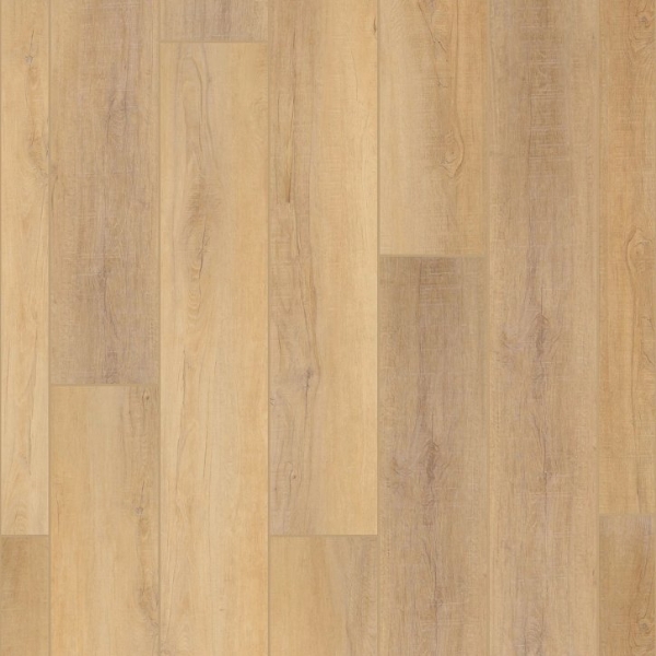 Picture of Shaw Builder - Enterprise 9 Canterbury Elm