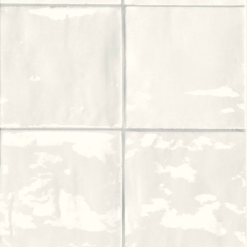 Picture of Sartoria - TSquare 6 x 6 First Snow