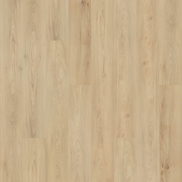 Picture of Mohawk - SolidTech Plus Barker Hollow Hazel