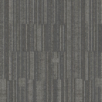 Picture of Mohawk Group - Lithosphere Tile Fossil