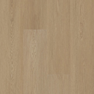 Picture of Shaw Builder - Insight Nb Nomadic Brown