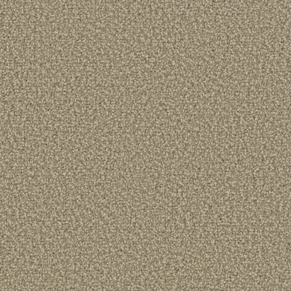 Picture of Patcraft - Color Your World Color Jute