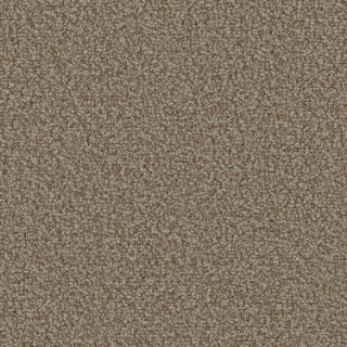 Picture of Patcraft - Color Your World Camel