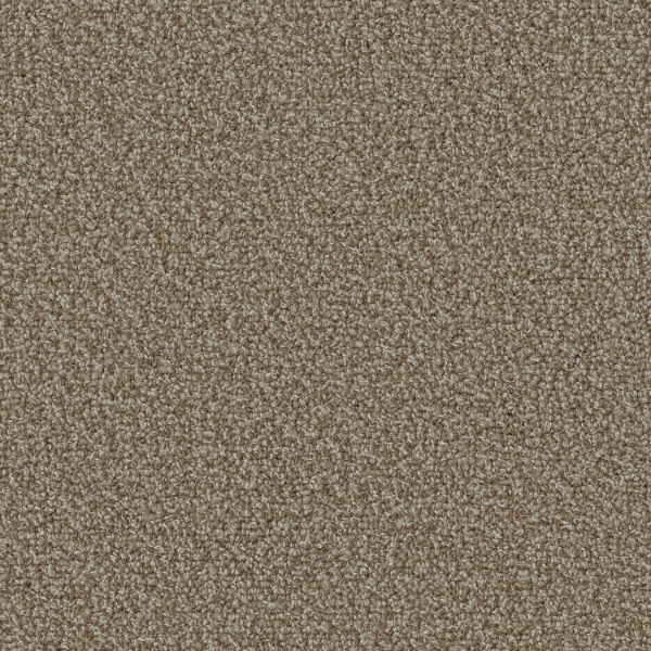 Picture of Patcraft - Color Your World Camel