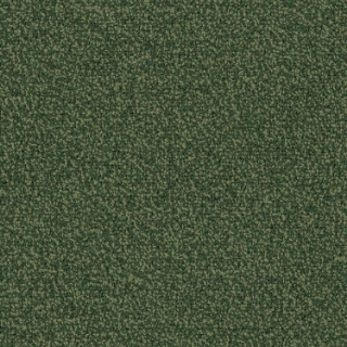 Picture of Patcraft - Color Your World Parakeet