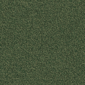 Picture of Patcraft - Color Your World Parakeet