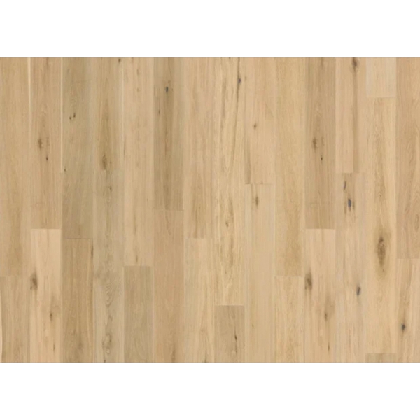 Picture of Nuvelle - Sea Harbor Macaroon