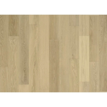 Picture of Nuvelle - Sea Harbor Sand Dollar