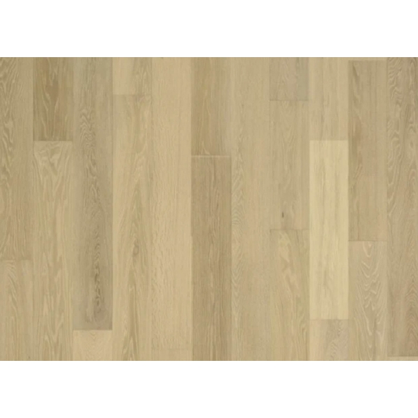 Picture of Nuvelle - Sea Harbor Sand Dollar