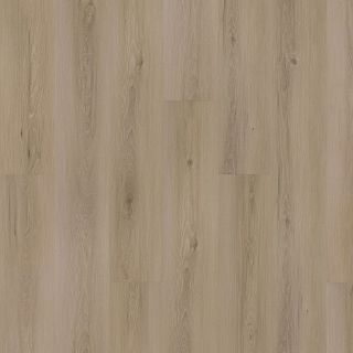 Picture of Mohawk - SolidTech Plus Eastbrook Shoals Milton