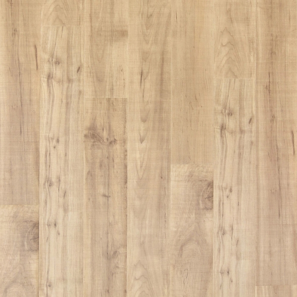 Picture of Mohawk - PureTech Plus Ellenwood Maple Sapling