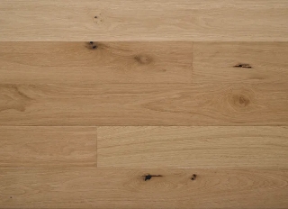 Picture of Nuvelle - Cottage Lake Placid