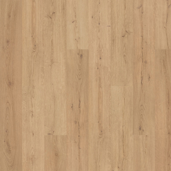 Picture of Mohawk - SolidTech Premier Saltgrass Springs Ryder