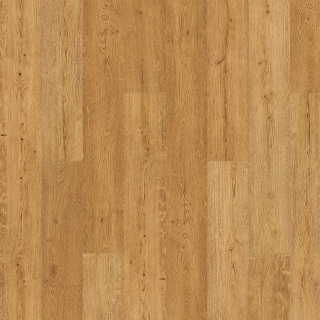 Picture of Mohawk - SolidTech Premier Saltgrass Springs Westerly