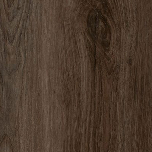 Picture of Aladdin Commercial - Mekong Delta 6 Cuppa Joe