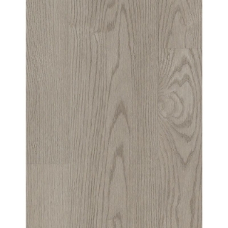 Picture of Aladdin Commercial - Familiar Frontier Storm Cloud