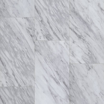 Picture of Shaw Builder - Coretec Wall Mora