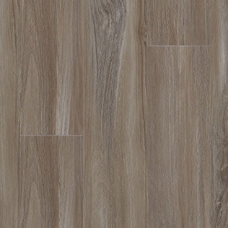 Picture of Aladdin Commercial - Thung Street Dolphin